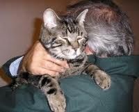 Finge di non esserne a conoscenza  