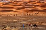 Nella valle di Merzouga
