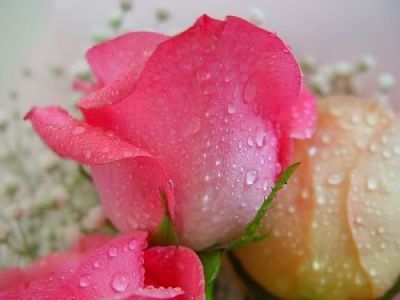 Tenho Fome - Poema em Homenagem do Dia da Crian�a - 12. 10  