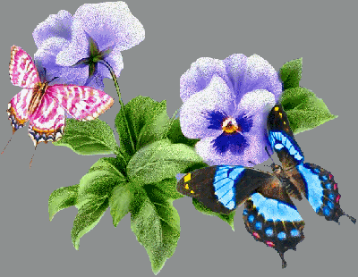 O Voar das Borboletas