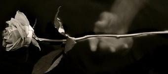 Quando Teu Amor Emudeceu