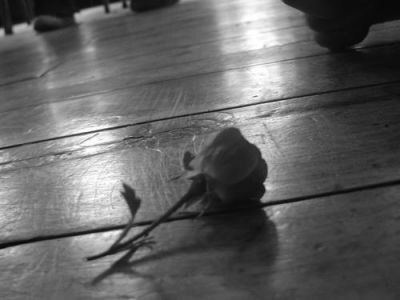 E Eu Que Pensava Ser Voc� Eterna