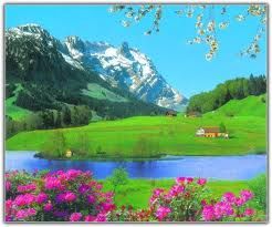 O Socorro do Planeta