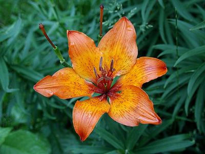 Conquista della felicità