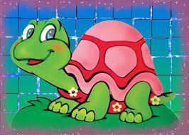 La nuova casa della tartaruga Jussara