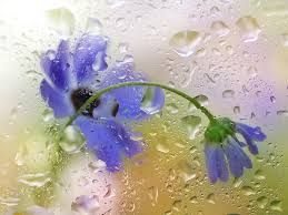 L silenzio dell'anima