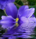 Preghiera al Redentore