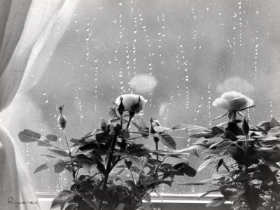 In un frammento di universo