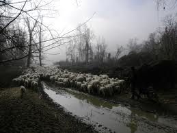 Inchiodati da queste ossa  