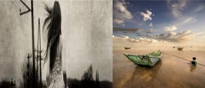 Sensibile Insensibilit�