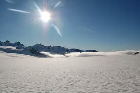 Colla per stimolo quoziente  