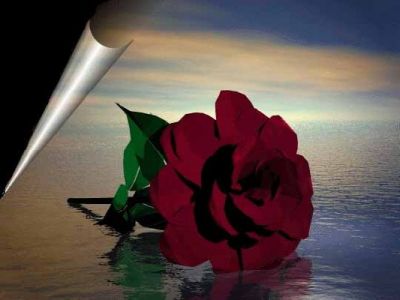 La voce del silenzio