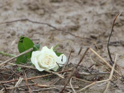 Piccole, povere prede