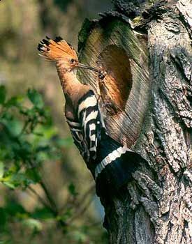 E non � mai troppo lungo il giorno