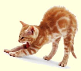 Assaggi di solitudine