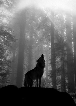 Canto orfico nel Natale