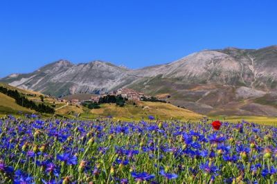 Sui sentieri dell'amore