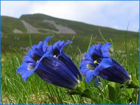 Mattina di pioggia a Luino