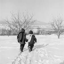 Ho lasciato i miei sogni