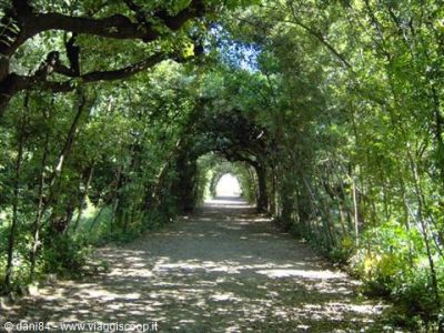 Torner� di te il ricordo