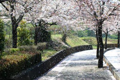 Il sorriso lontano di un amore