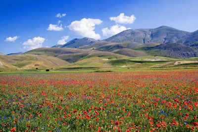 Canto di rinascita dell'Appennino