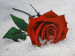 Viva la Repubblica, viva la Costituzione!