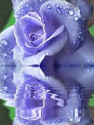 Sorella misericordia  