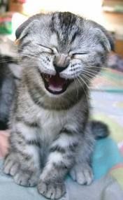 Il riso abbonda dove c'� amore  