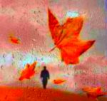 Il vento del destino