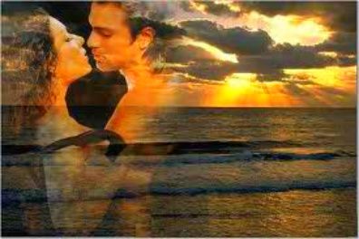 Là dove nascono le orchidee