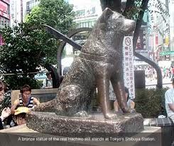 Otto numero immortale