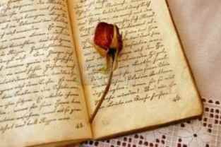 Attraverso il mio tempo