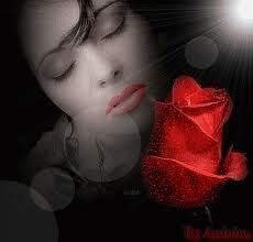 � fiorita una rosa