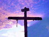 La strada del dolore  