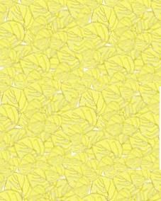 Chi ricorda il mio albicocco biondo?