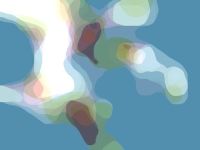 Tante e tante le parole