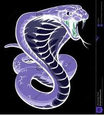 L'umanit� insipiente