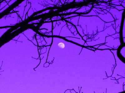 Sotto un cielo caffo