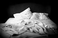 Platonicamente parlando