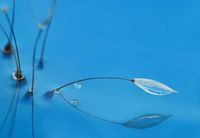 Il tempo delle rondini