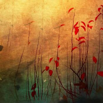 Il vento di un'estate