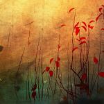 Il vento di un'estate