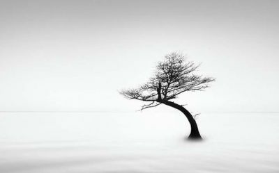 Non tentare l�acqua