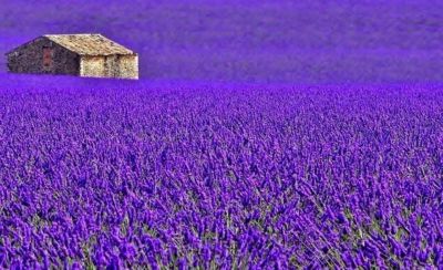 Rivedremo l�estate