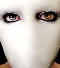 Mi chiudo nel silenzio