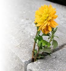 Qualcosa � cambiato