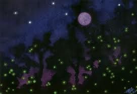 La terrazza era il mondo