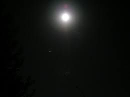 Per presentare il conto alla follia