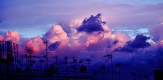 VIOLA (per nascondermi)